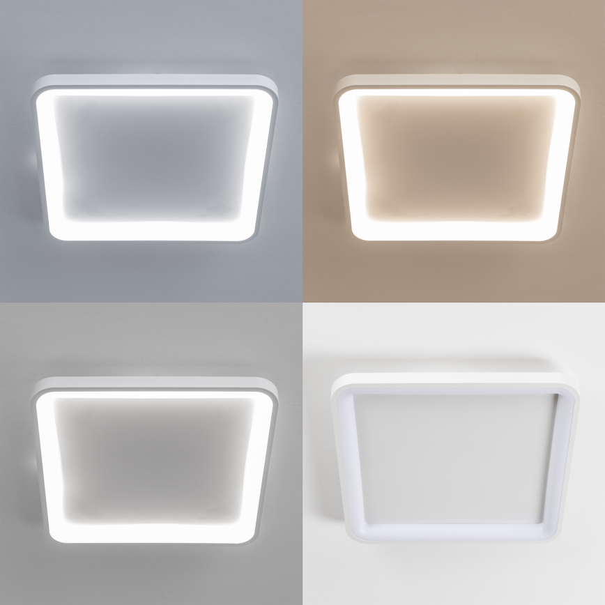 Brilagi - LED dimmējamais griestu gaismeklis FALCON SLIM LED/50W/230V 3000-6500K 50x50 cm balta + ar tālvadības pulti