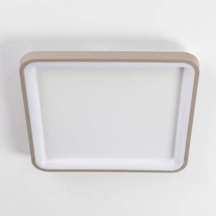 BRILAGI - LED griestu lampa ar regulējamu spilgtumu FALCON SLIM LED/50W/230V 3000-6500K 50x50 cm balta/bēša + tālvadības pults