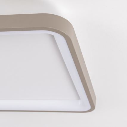 BRILAGI - LED griestu lampa ar regulējamu spilgtumu FALCON SLIM LED/50W/230V 3000-6500K 50x50 cm balta/bēša + tālvadības pults