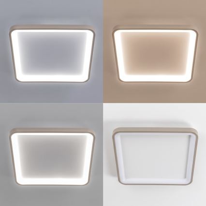BRILAGI - LED griestu lampa ar regulējamu spilgtumu FALCON SLIM LED/50W/230V 3000-6500K 50x50 cm balta/bēša + tālvadības pults