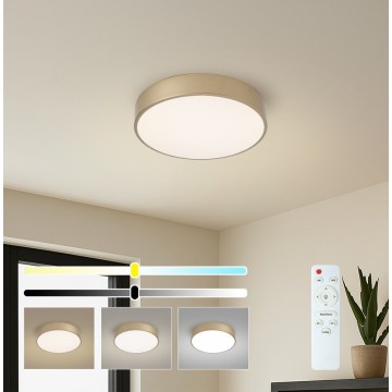 BRILAGI - LED regulējams griestu gaismeklis POOL LED/36W/230V 3000-6000K Ø 30 cm zelta + ar tālvadības pulti