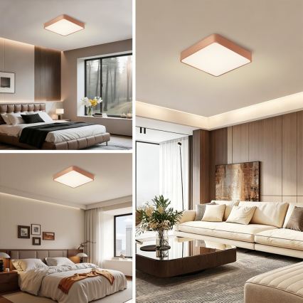 BRILAGI - LED regulējams griestu gaismeklis POOL SQUARE LED/48W/230V 3000-6000K 50x50 cm bronzas krāsā + tālvadības pults