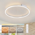 Brilagi - LED Regulējams griestu gaismeklis PORTOFINO LED/60W/230V 3000-6000K Ø 80 cm sudraba + tālvadības pults