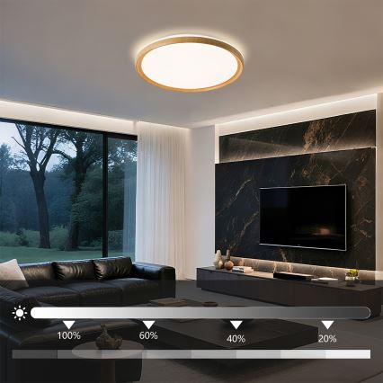 Brilagi - LED dimmējams griestu gaismeklis RIVO LED/72W/230V 3000-6000K koka dekors, Ø 50 cm + tālvadības pults