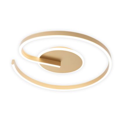 Brilagi - Regulējams LED griestu gaismeklis SPIRAL LED/56W/230V Ø 50 cm 3000/4000/6000K + tālvadības pults