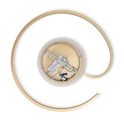 Brilagi - Regulējams LED griestu gaismeklis SPIRAL LED/56W/230V Ø 50 cm 3000/4000/6000K + tālvadības pults