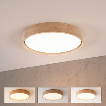 Brilagi - LED regulējams griestu lukturis MANAROLA REMOTE LED/24W/230V 3000-6500K pr. 41 cm, ozols + tālvadības pults