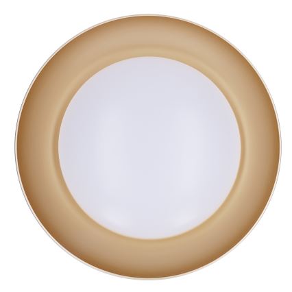 Brilagi - Regulējama LED griestu lampa ALVA LED/48W/230V 3000-6500K Ø 51 cm melna + tālvadība