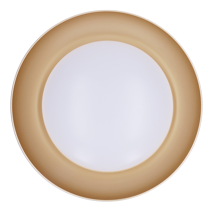 Brilagi - Regulējama LED griestu lampa ALVA LED/48W/230V 3000-6500K Ø 51 cm melna + tālvadība