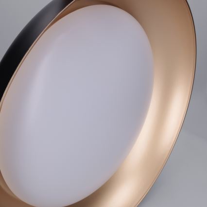 Brilagi - Regulējama LED griestu lampa ALVA LED/48W/230V 3000-6500K Ø 51 cm melna + tālvadība