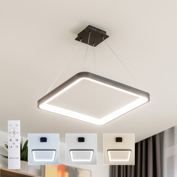 Brilagi - LED regulējams pakaramais gaismeklis ar vadu FALCON SLIM LED/50W/230V 3000-6500K 50x50 cm melns + tālvadības pults