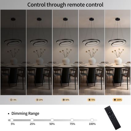 Brilagi - LED lustra ar regulējamu spilgtumu uz troses TWISTER LED/48W/230V 3000-6000K diametrs 50 cm melna + ar tālvadības pulti