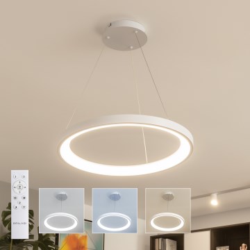 Brilagi - LED regulējams piekaramais lustrs uz troses FALCON SLIM LED/42W/230V 3000-6500K Ø 50 cm balts + tālvadības pults