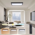 Brilagi - LED Regulējams vannas istabas griestu lampas FRAME SMART LED/30W/230V 30x60 cm 3000-6000K melns + tālvadības pults