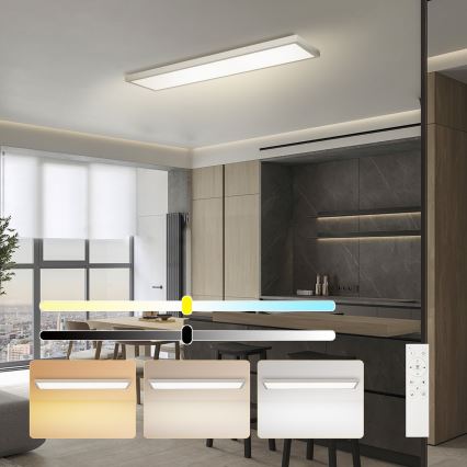 Brilagi - LED ar regulējamu spilgtumu vannas istabas griestu gaismeklis FRAME SMART LED/50W/230V 120x30 cm 3000-6000K IP44 sudraba + ar tālvadības pulti