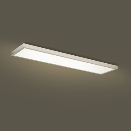Brilagi - LED ar regulējamu spilgtumu vannas istabas griestu gaismeklis FRAME SMART LED/50W/230V 120x30 cm 3000-6000K IP44 sudraba + ar tālvadības pulti