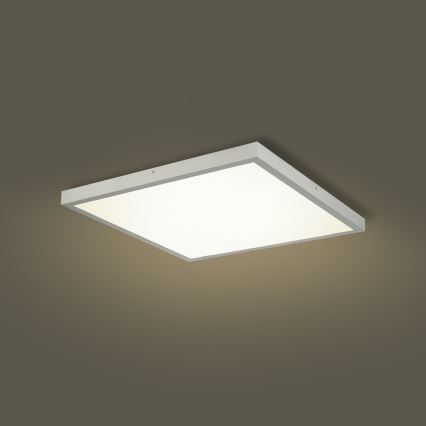 Brilagi - LED ar regulējamu spilgtumu vannas istabas griestu lampa FRAME SMART LED/50W/230V 60x60 cm 3000-6000K IP44 sudraba + tālvadības pults