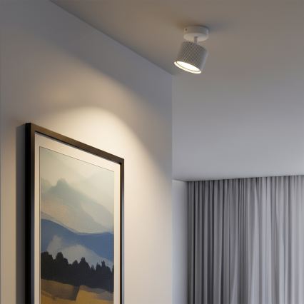 BRILAGI - LED RGB+CCT dimējams virziena gaismeklis STRIPY 1xGX53/14W/230V pr. 82 mm 2700-6500K Wi-Fi Tuya balts