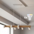 BRILAGI - LED RGBW aptumšojama lustra uz troses SELE 6xGU10/6,5W/230V 2700-6500K balta/ozola dekors + tālvadība