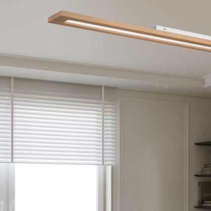 Brilagi - LED RGBW Aptumšojams panelis WOODY FRAME LED/34W/230V 11,5x123 cm 2700-6500K ozols + tālvadības pults