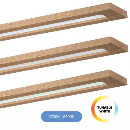 Brilagi - LED RGBW Aptumšojams panelis WOODY FRAME LED/34W/230V 11,5x123 cm 2700-6500K ozols + tālvadības pults
