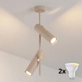 BRILAGI - LED RGBW dimējama lustra ar stieni BRANCH 2xGU10/6,5W/230V 2700-6500K bēša
