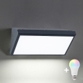 Brilagi - LED RGBW dimējams āra sienas gaismeklis TRIANGLE 1xE27/9W/230V 2700-6500K IP65 antracīts