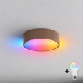 BRILAGI - LED RGBW griestu lampa ar regulējamu spilgtumu CLARE 1xE27/12W/230V Ø 20 cm brūna