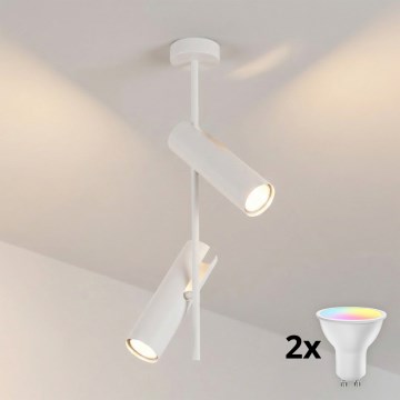 BRILAGI - LED RGBW regulējama griestu lampa uz stieņa BRANCH 2xGU10/6,5W/230V 2700-6500K balta
