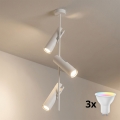 BRILAGI - LED RGBW regulējamā lustra uz kāta BRANCH 3xGU10/6,5W/230V 2700-6500K balta