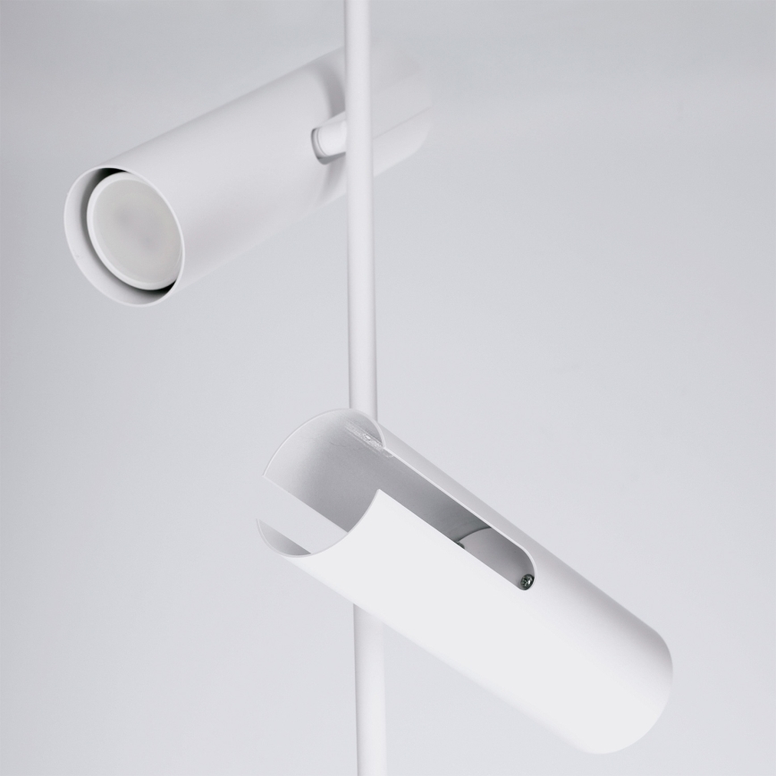 BRILAGI - LED RGBW regulējamā lustra uz kāta BRANCH 3xGU10/6,5W/230V 2700-6500K balta