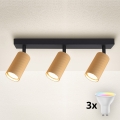 Brilagi - LED RGBW regulējams punktveida gaismeklis SELE MODERN 3xGU10/4,8W/230V 3000K zelta + tālvadības pults