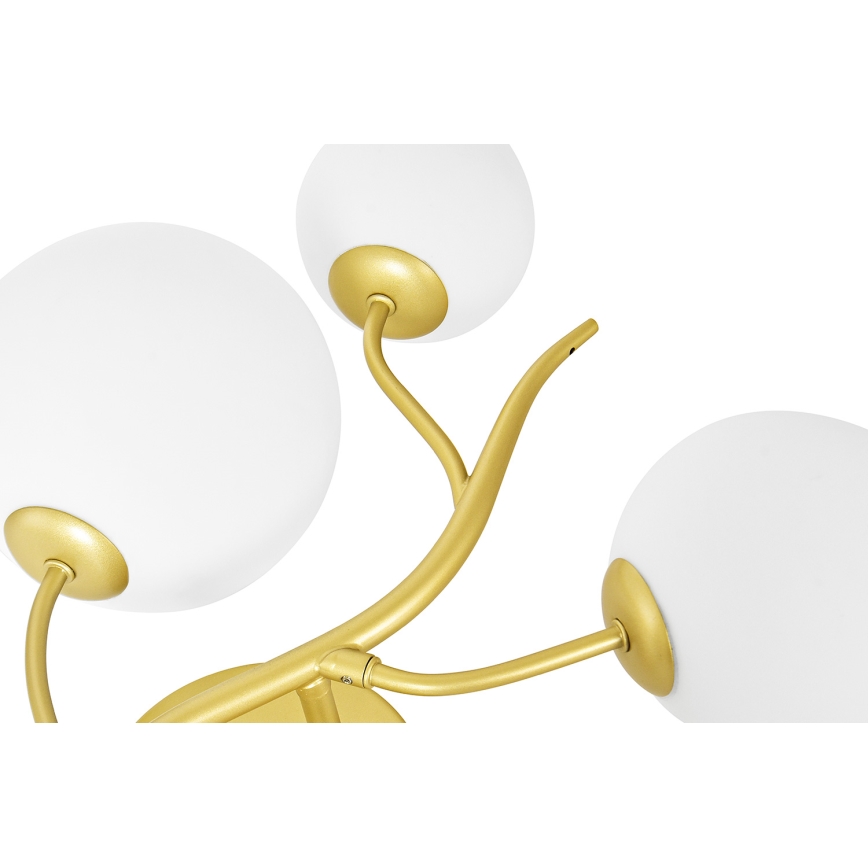 Brilagi - LED Sienas lampa MISTEL 3xG9/3W/230V zelta/balta