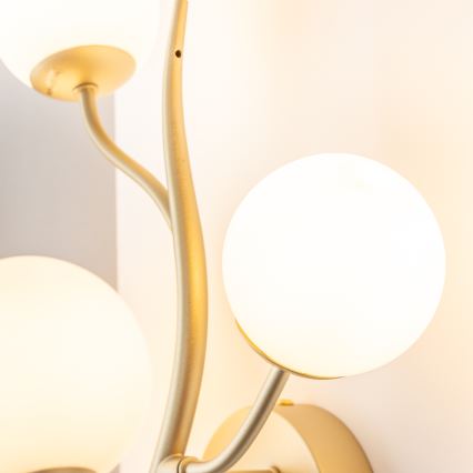 Brilagi - LED Sienas lampa MISTEL 3xG9/3W/230V zelta/balta