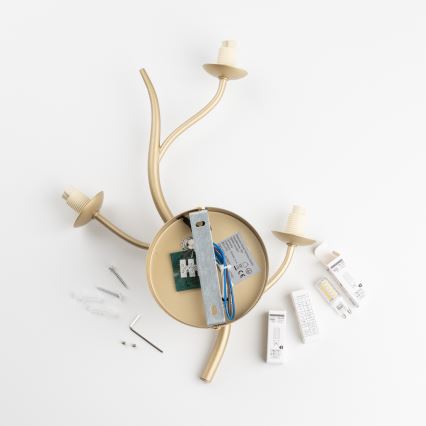 Brilagi - LED Sienas lampa MISTEL 3xG9/3W/230V zelta/balta