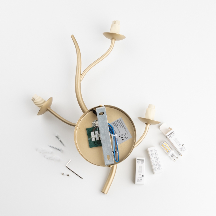 Brilagi - LED Sienas lampa MISTEL 3xG9/3W/230V zelta/balta