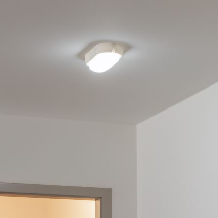 Brilagi - LED Smagas slodzes griestu gaismeklis SIMA LED/12W/230V IP65 balts