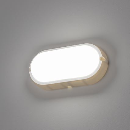 Brilagi - LED Smagas slodzes griestu gaismeklis SIMA LED/12W/230V IP65 balts