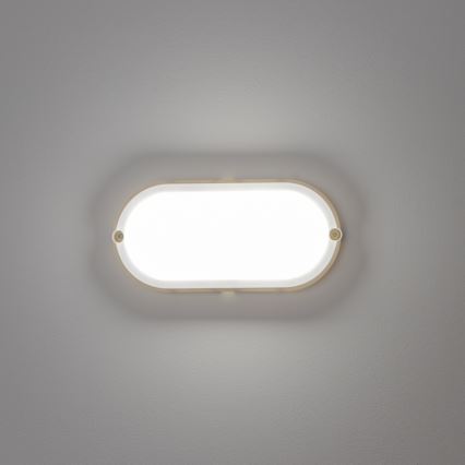 Brilagi - LED Smagas slodzes griestu gaismeklis SIMA LED/12W/230V IP65 balts