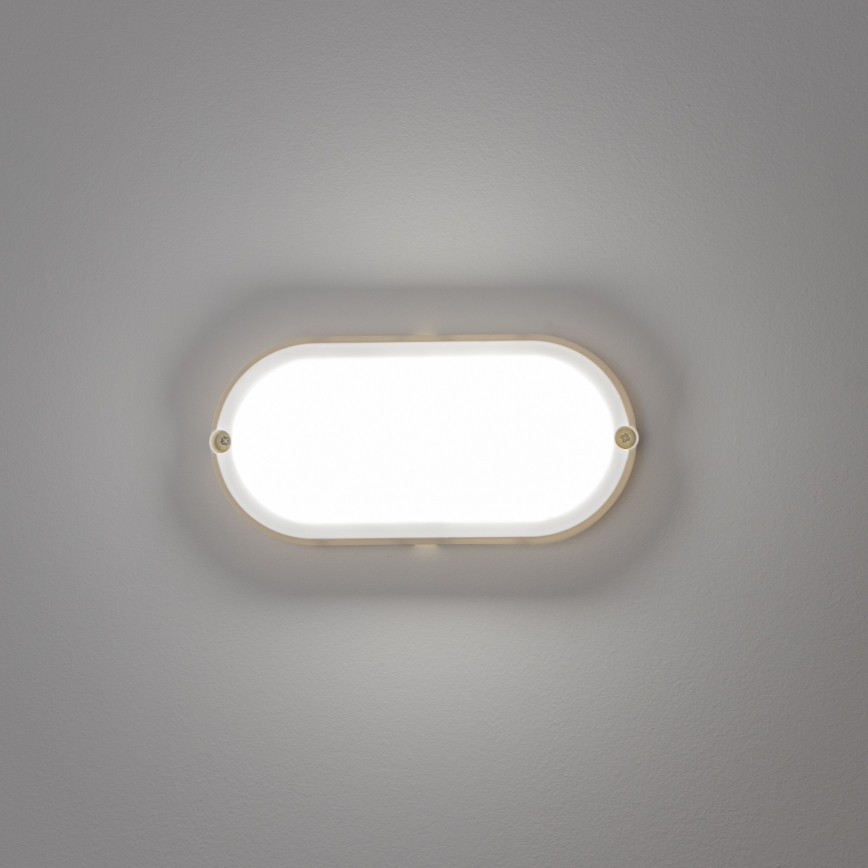 Brilagi - LED Smagas slodzes griestu gaismeklis SIMA LED/12W/230V IP65 balts
