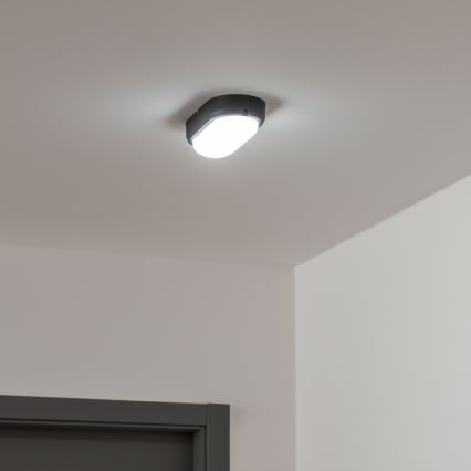 Brilagi - LED Smagas slodzes griestu gaismeklis SIMA LED/12W/230V IP65 melns