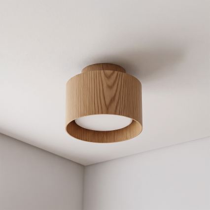 BRILAGI - LED prožektors BACKLIT 1xGX53/15W/230V + LED/3W Ø 10 cm ozola dekors