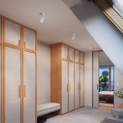 Brilagi - LED spotgaismeklis CRESTO 1xGU10/10W/230V balts