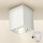 Brilagi - LED Starmetis MIA 1xGU10/30W/230V 100x80 mm balta