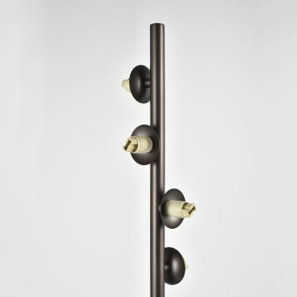 Brilagi - LED stāvlampa MILLA 7xG9/3W/230V brūna/dūmakaini brūna