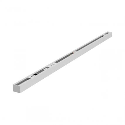 Brilagi - LED griestu virsmas gaismeklis FULLDAY LED/20/30/40W/230V 2700/4000/6000K 120 cm balts