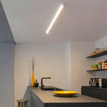 Brilagi - LED griestu virsmas gaismeklis FULLDAY LED/20/30/40W/230V 2700/4000/6000K 120 cm balts