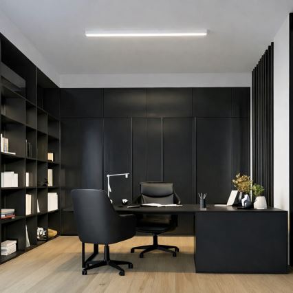 Brilagi - LED griestu virsmas gaismeklis FULLDAY LED/20/30/40W/230V 2700/4000/6000K 120 cm balts