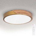 BRILAGI - LED stropu lampa ar regulējamu spilgtumu PILANA LED/48W/230V 3000-6500K ozols/zelta Ø 40 cm + ar tālvadības pulti