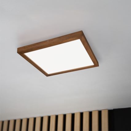 Brilagi - LED Grīdas lampas vannai WOODY FRAME LED/50W/230V 60x60 cm IP44 ozola ķirsis